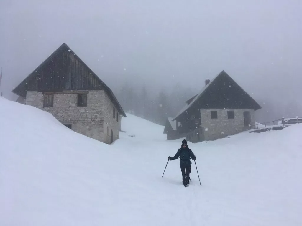 Descending from Blejska Koca in a snowy fairytale Large