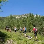 Excursionistas que inician su camino hacia Viševnik