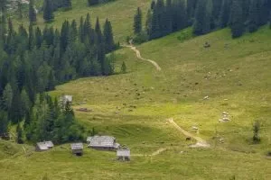 The Konjščica mountain pasture