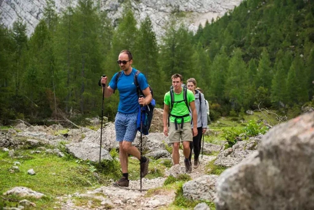 leading into green forests and trails